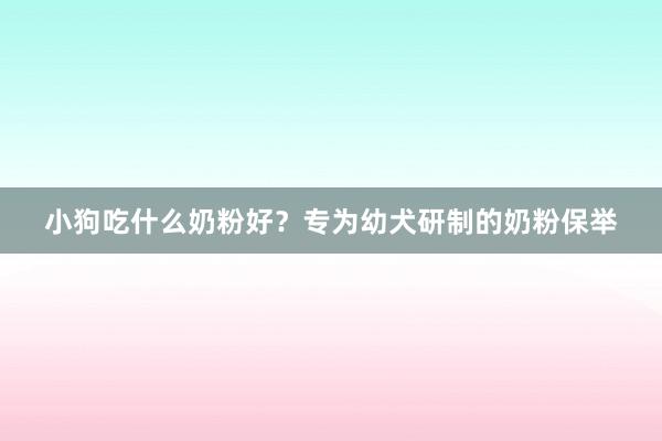 小狗吃什么奶粉好？专为幼犬研制的奶粉保举