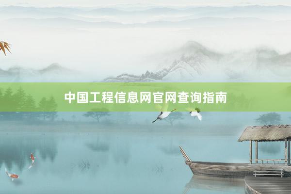 中国工程信息网官网查询指南